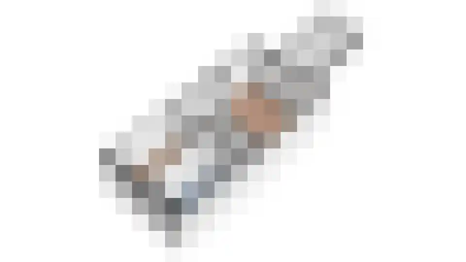 Kritzingerlaan 17 Zeist thumbnail 37