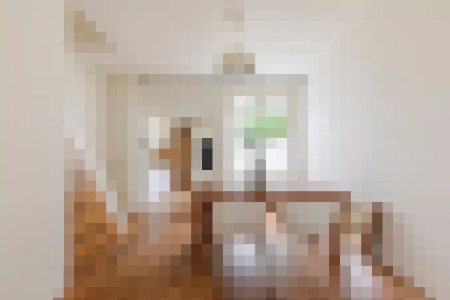Kritzingerlaan 17 Zeist thumbnail 6