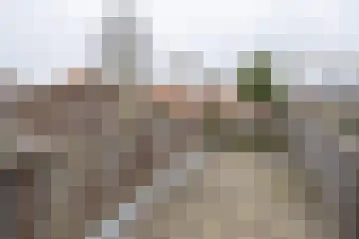 Kritzingerlaan 23 Zeist thumbnail 24