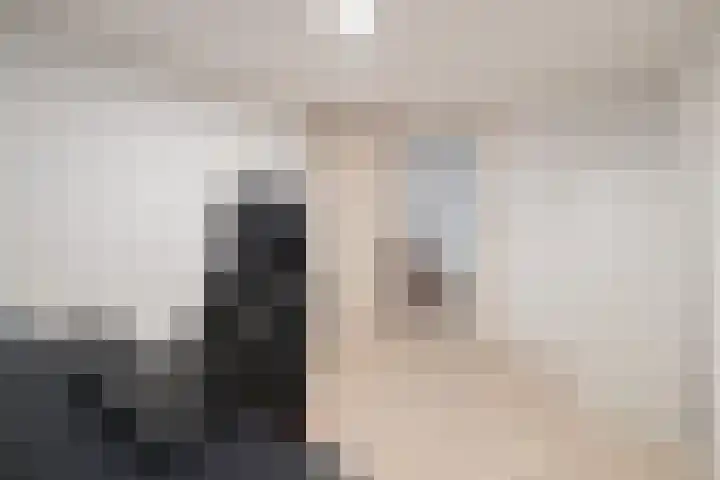 Kritzingerlaan 23 Zeist thumbnail 32
