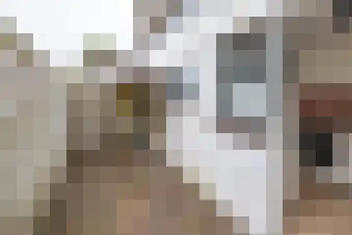 Kritzingerlaan 23 Zeist thumbnail 34