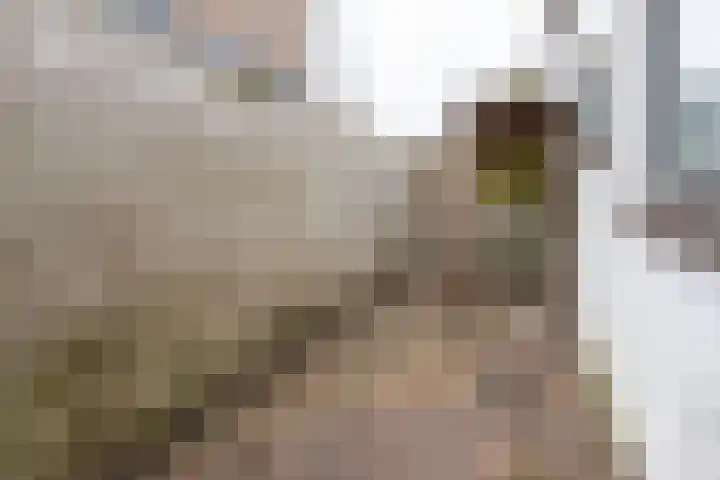 Kritzingerlaan 23 Zeist thumbnail 36