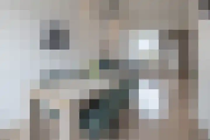 Kritzingerlaan 23 Zeist thumbnail 4