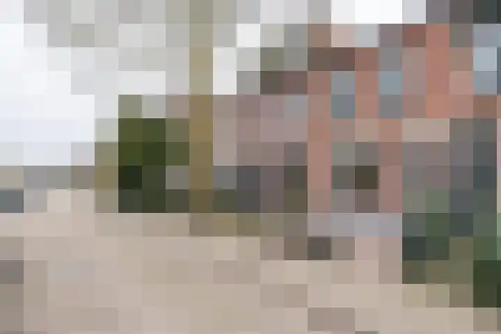 Kritzingerlaan 23 Zeist thumbnail 41
