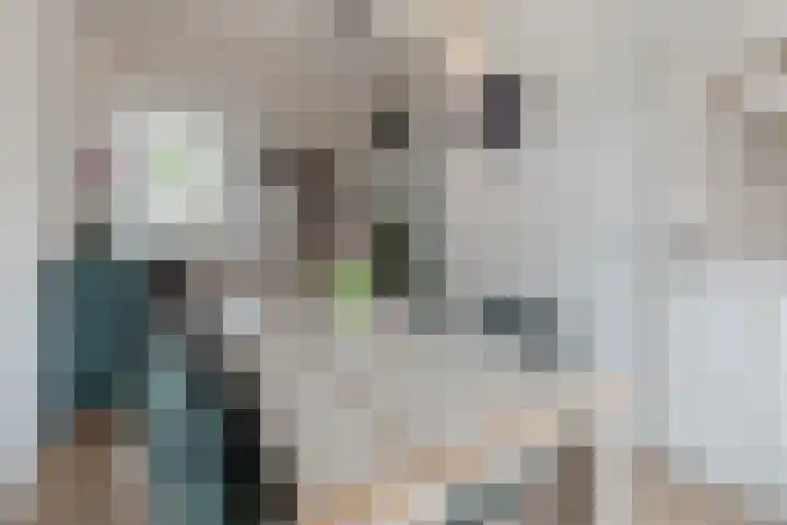 Kritzingerlaan 23 Zeist thumbnail 5