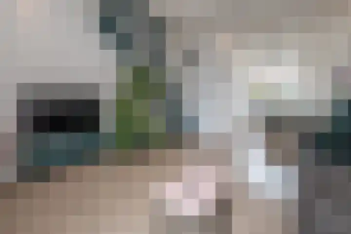 Kritzingerlaan 23 Zeist thumbnail 7