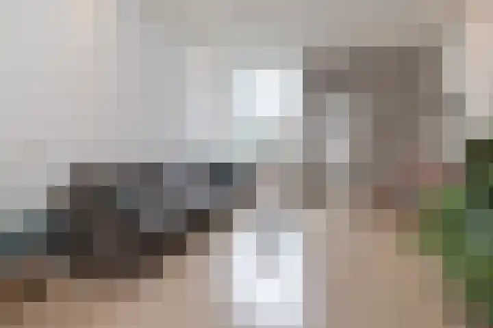 Kritzingerlaan 23 Zeist thumbnail 8