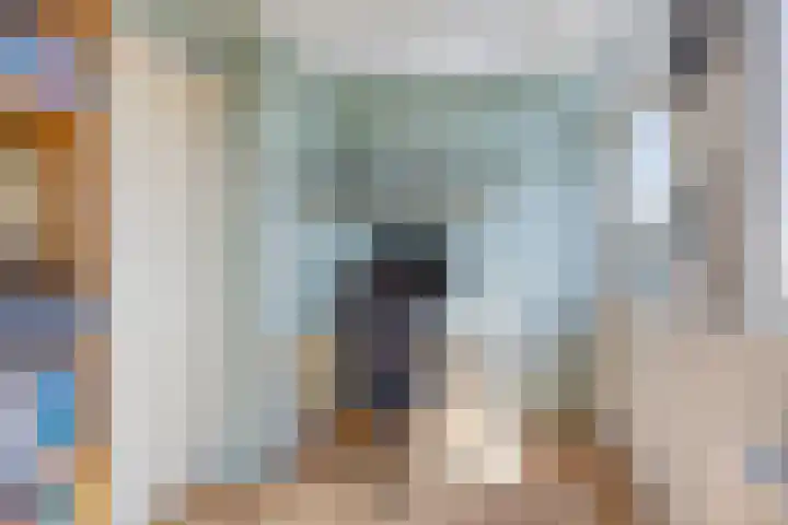 Kritzingerlaan 34 Zeist thumbnail 20