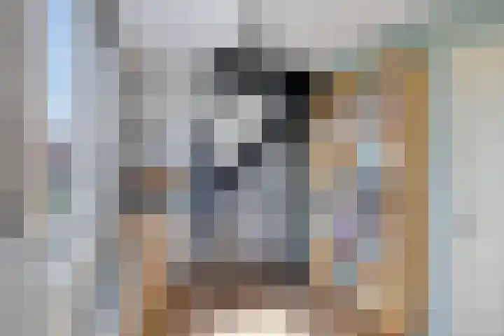 Kritzingerlaan 34 Zeist thumbnail 21