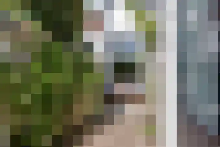 Kritzingerlaan 34 Zeist thumbnail 32