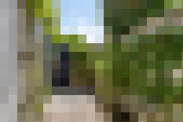 Kritzingerlaan 34 Zeist thumbnail 33