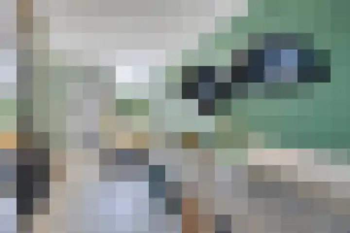 Kritzingerlaan 34 Zeist thumbnail 8