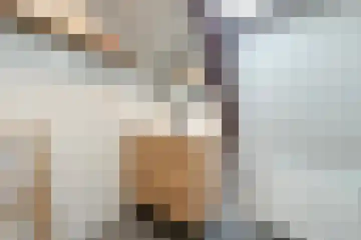 Kritzingerlaan 37 Zeist thumbnail 21