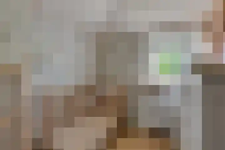 Kritzingerlaan 37 Zeist thumbnail 22