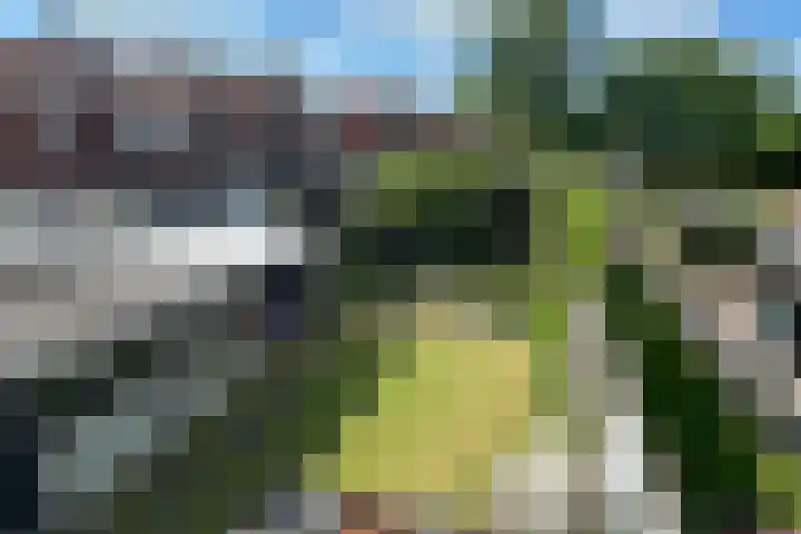 Kritzingerlaan 37 Zeist thumbnail 24