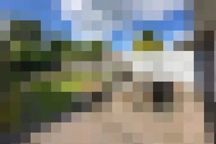 Kritzingerlaan 37 Zeist thumbnail 25