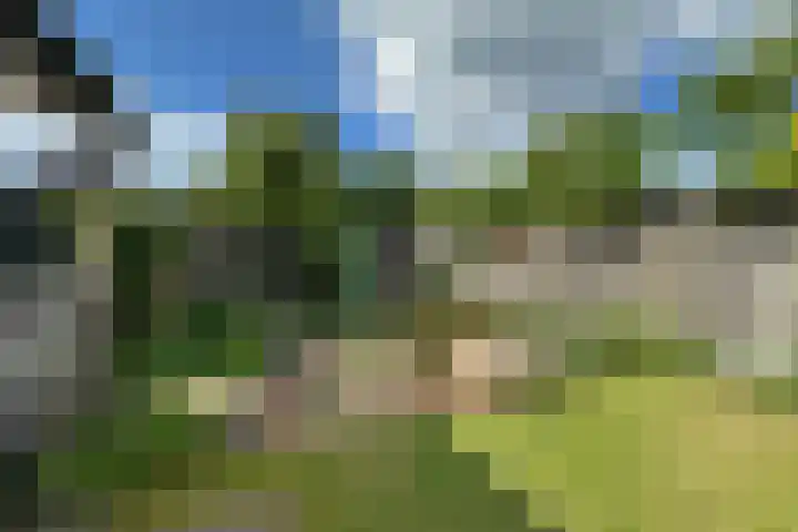 Kritzingerlaan 37 Zeist thumbnail 28