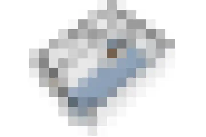 Kritzingerlaan 37 Zeist thumbnail 33