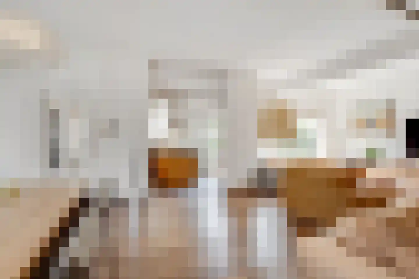 Kritzingerlaan 61 Zeist thumbnail 11