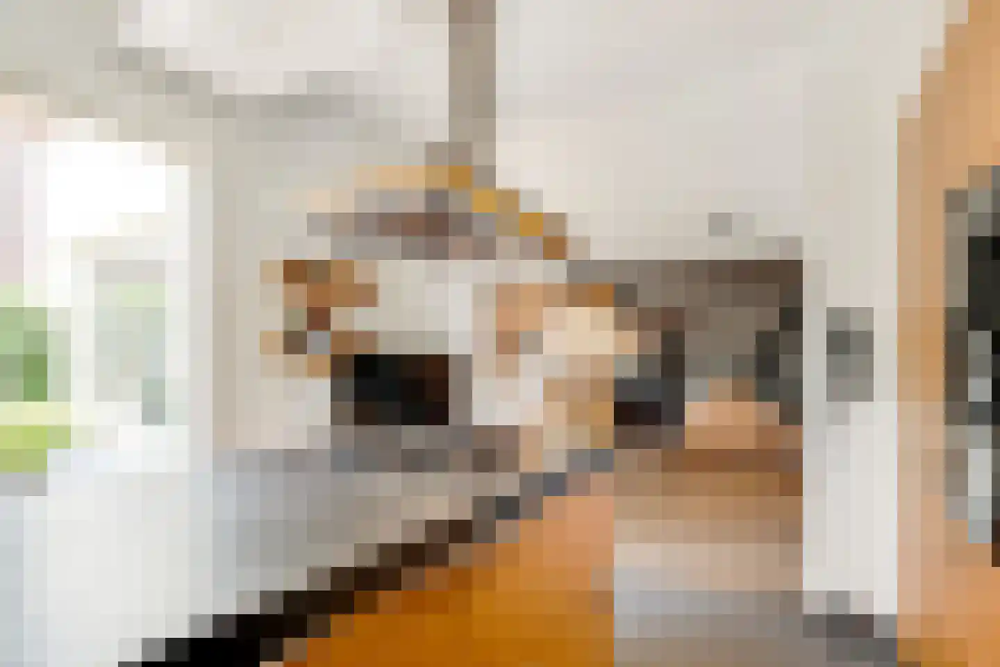 Kritzingerlaan 61 Zeist thumbnail 21