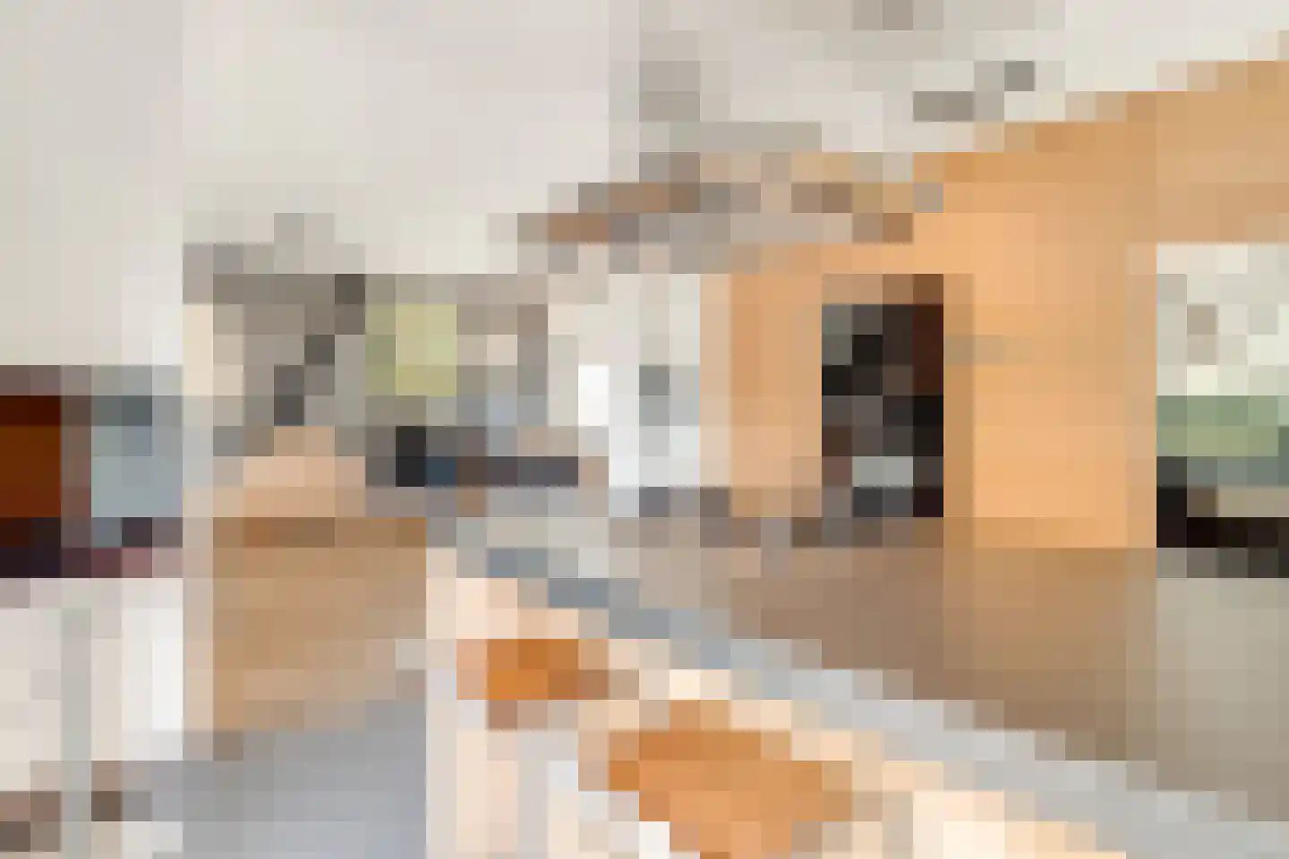 Kritzingerlaan 61 Zeist thumbnail 22