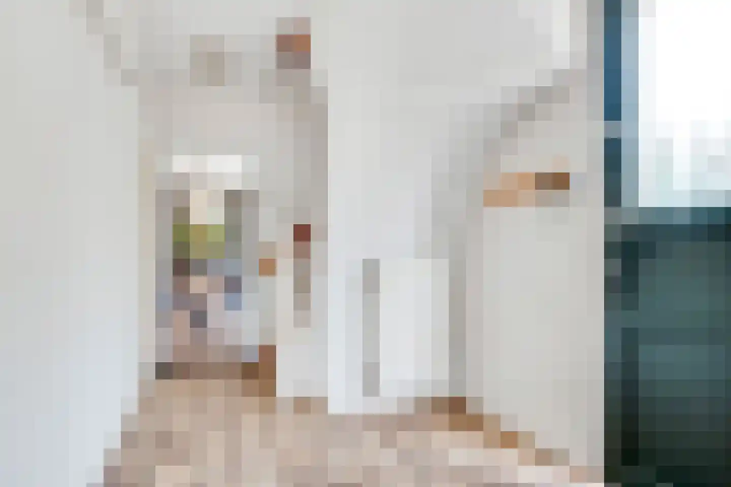 Kritzingerlaan 61 Zeist thumbnail 30