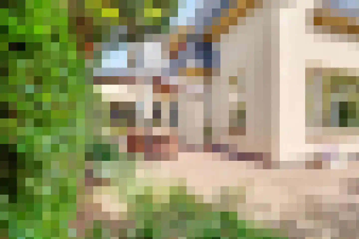 Kritzingerlaan 61 Zeist thumbnail 51