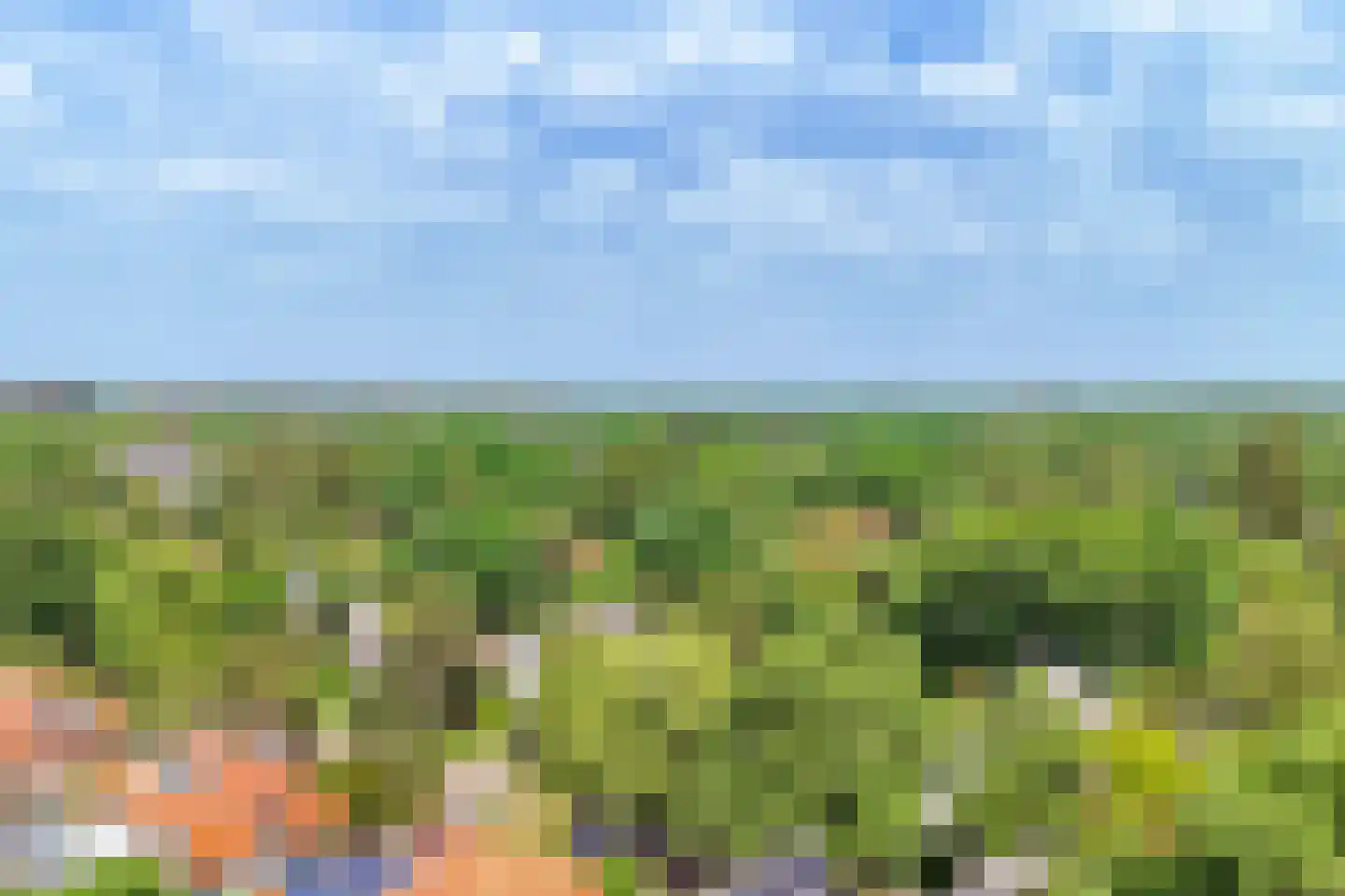 Kritzingerlaan 61 Zeist thumbnail 79