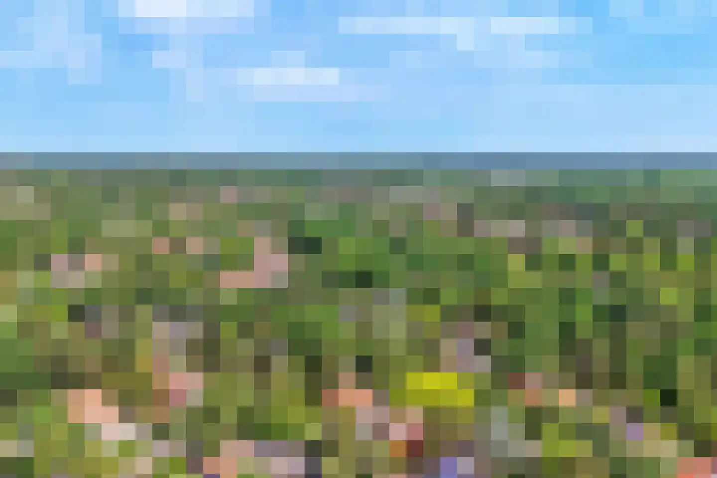 Kritzingerlaan 61 Zeist thumbnail 80