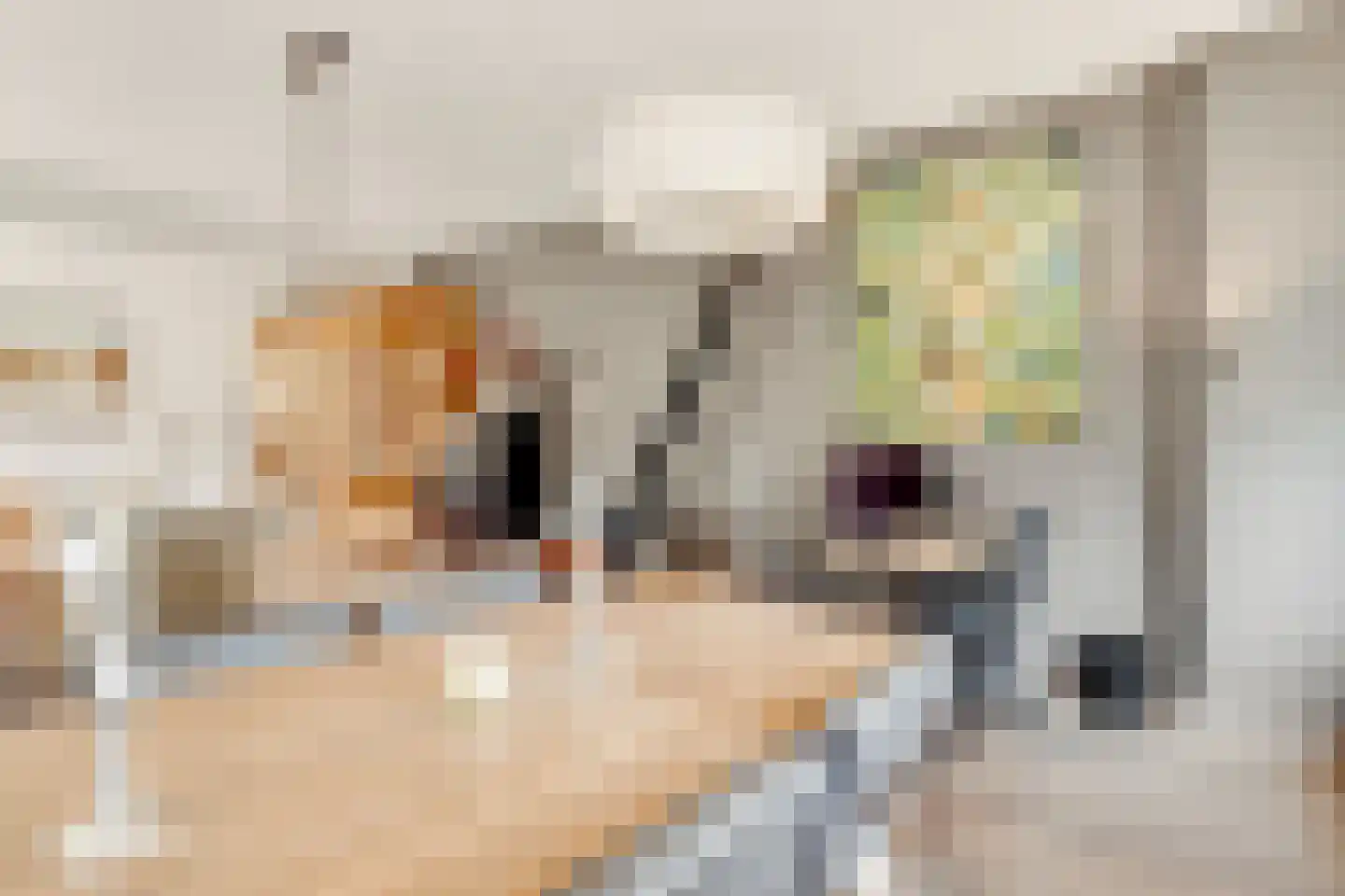 Kritzingerlaan 61 Zeist thumbnail 9