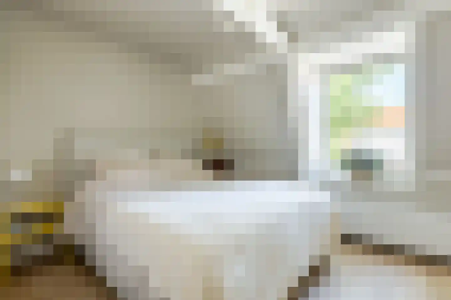 Kritzingerstraat 18 Haarlem thumbnail 14