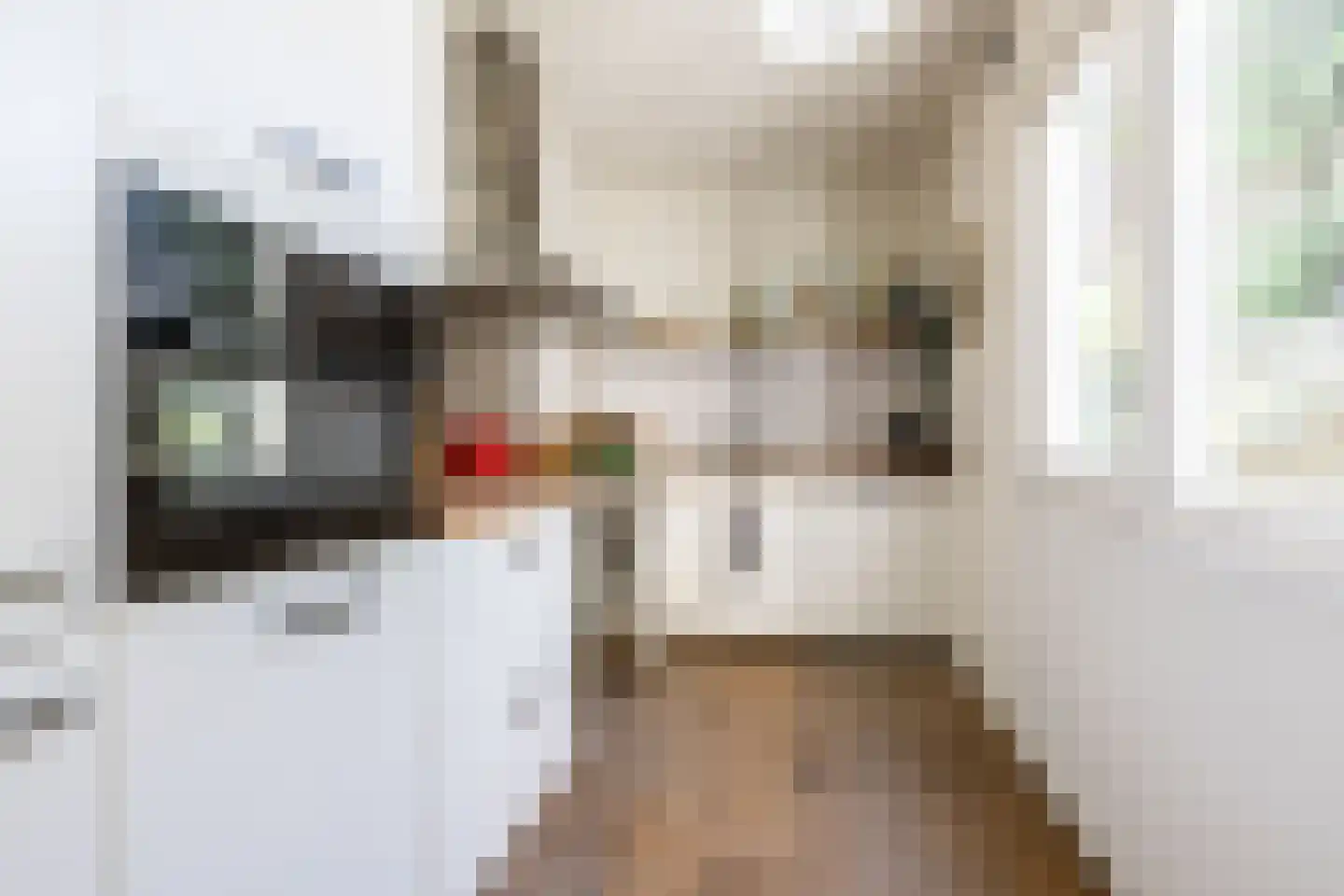 Kritzingerstraat 18 Haarlem thumbnail 9