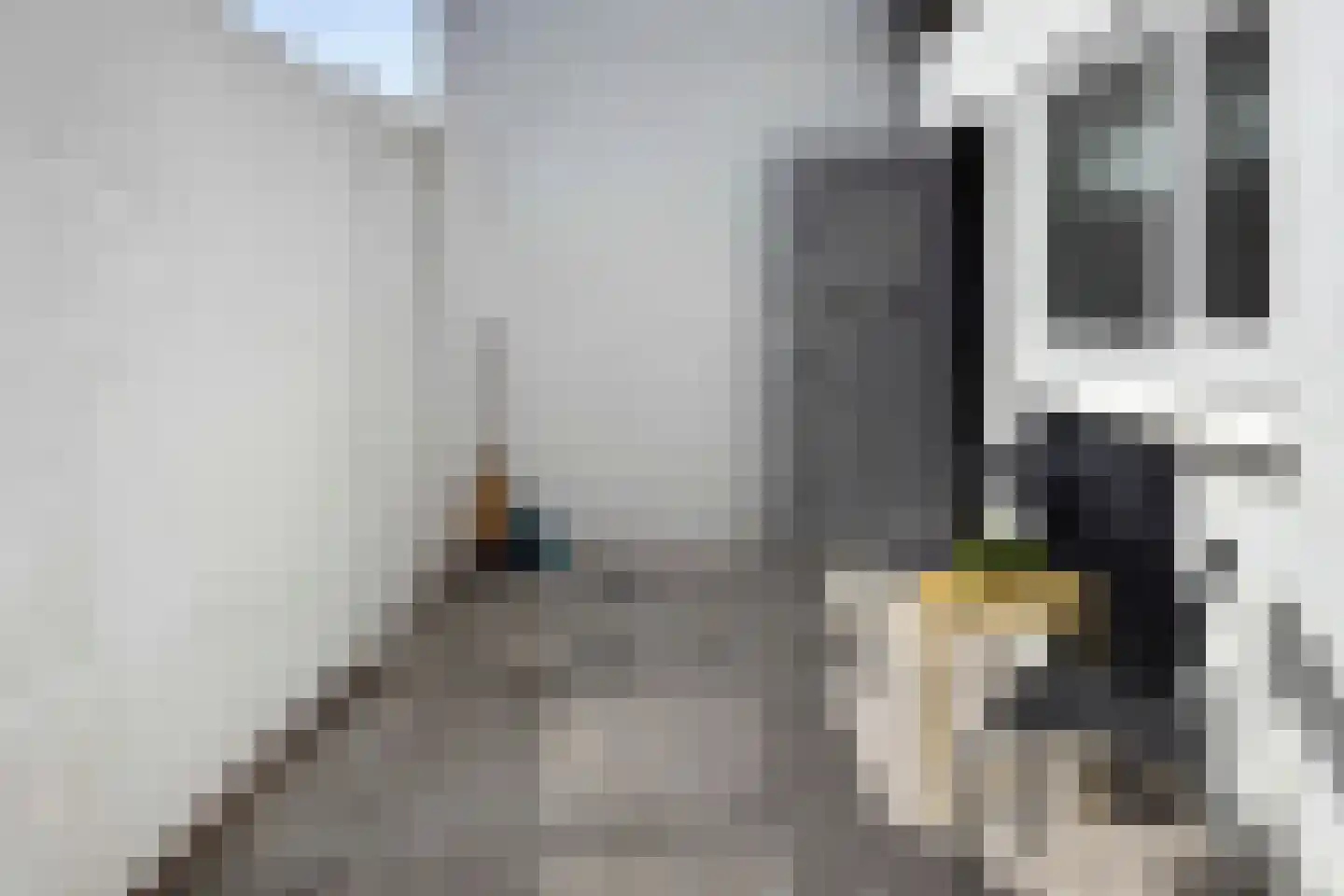 Kritzingerstraat 2 Haarlem thumbnail 11