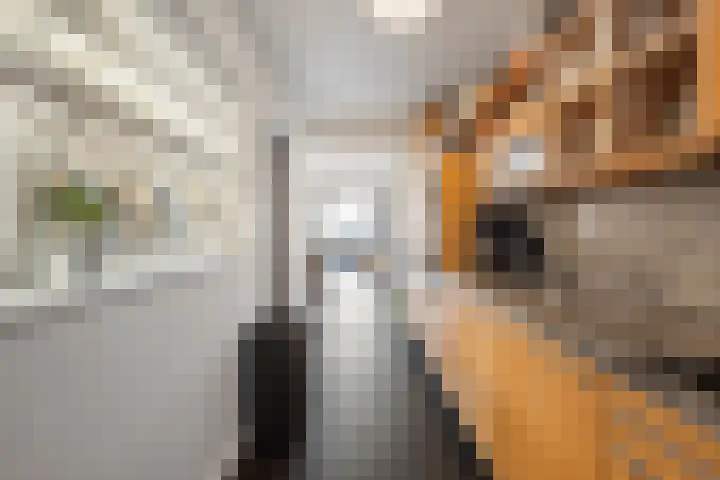 Kritzingerstraat 2 Haarlem thumbnail 8