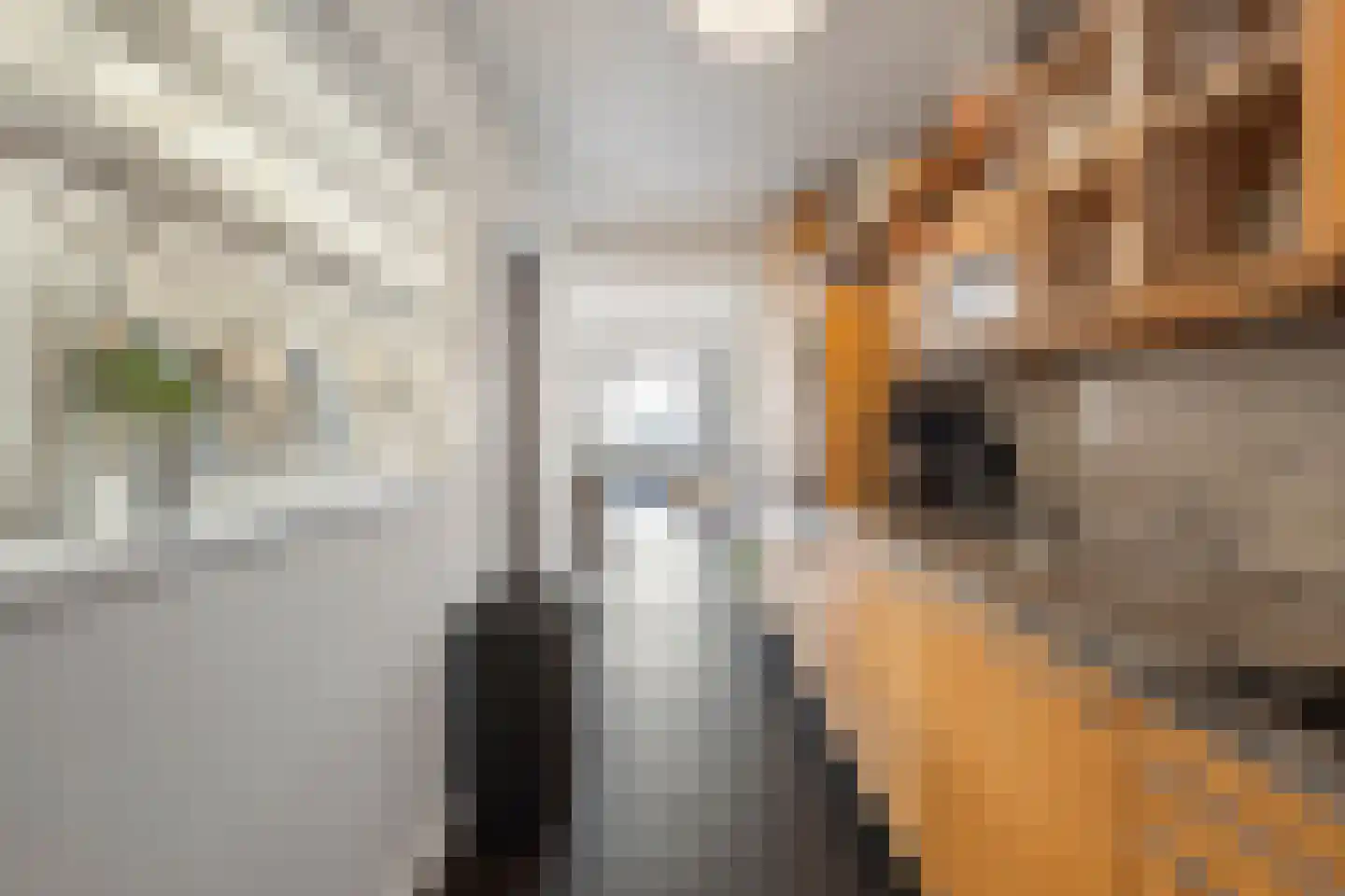 Kritzingerstraat 2 Haarlem thumbnail 8