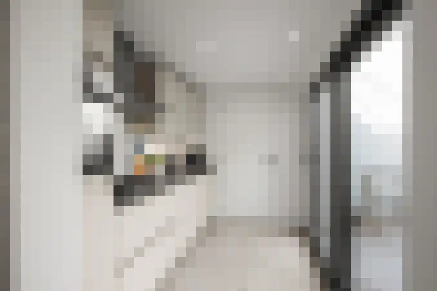 Kritzingerstraat 35 Haarlem thumbnail 9