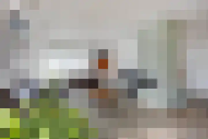 Kritzraedtstraat 17 Sittard thumbnail 11