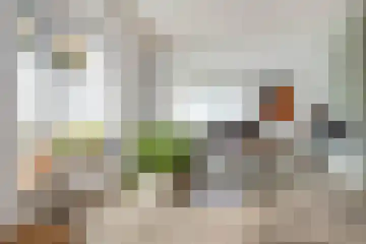 Kritzraedtstraat 17 Sittard thumbnail 13