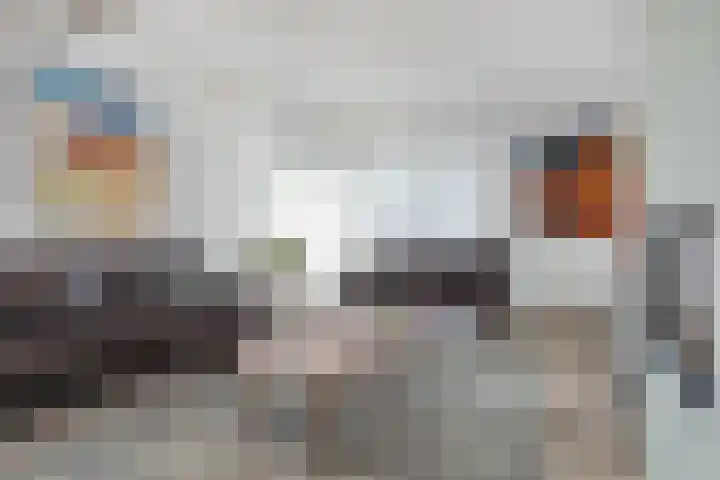 Kritzraedtstraat 17 Sittard thumbnail 15