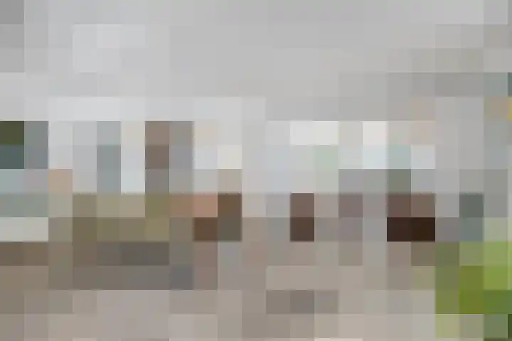 Kritzraedtstraat 17 Sittard thumbnail 16