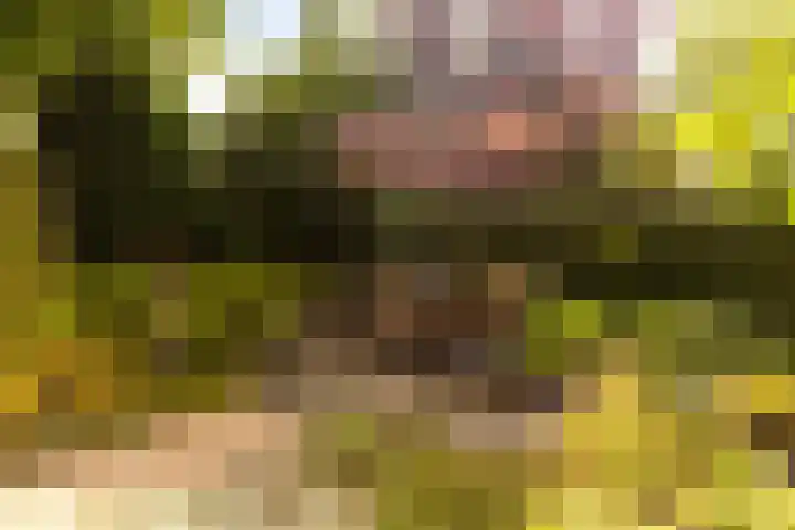 Kritzraedtstraat 17 Sittard thumbnail 50
