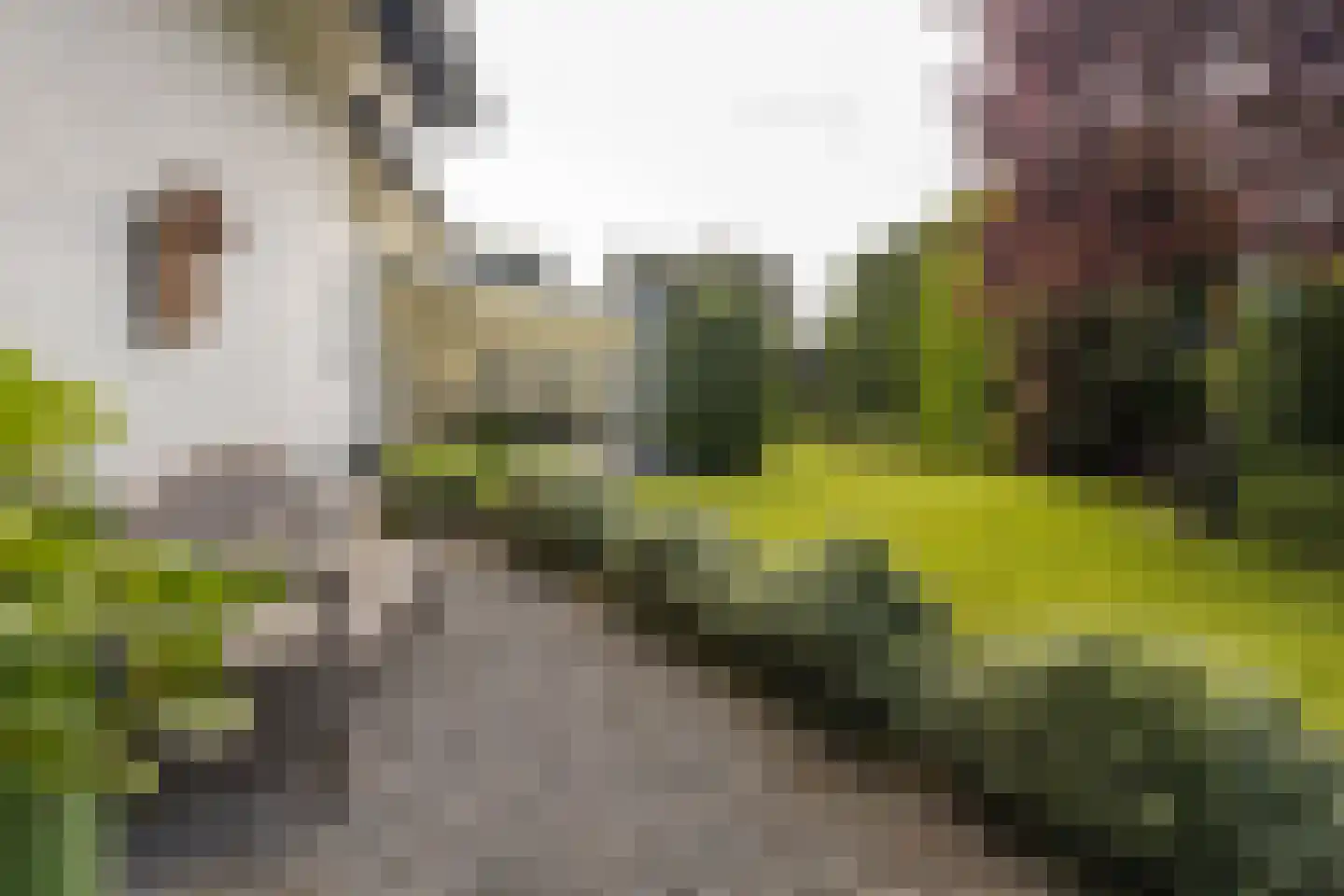 Kritzraedtstraat 22 Sittard thumbnail 41