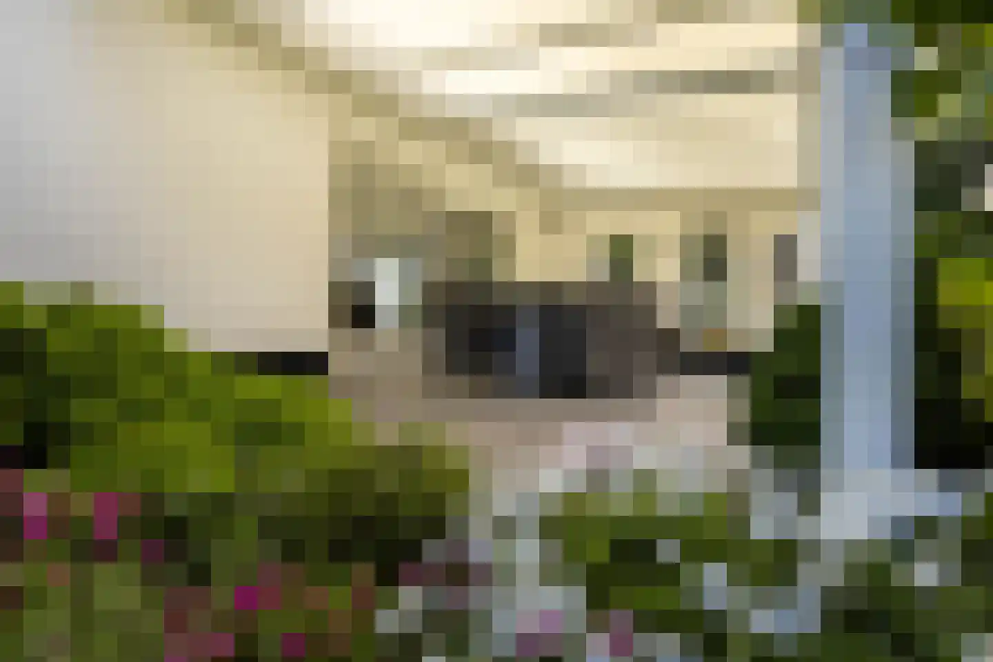 Kritzraedtstraat 22 Sittard thumbnail 42