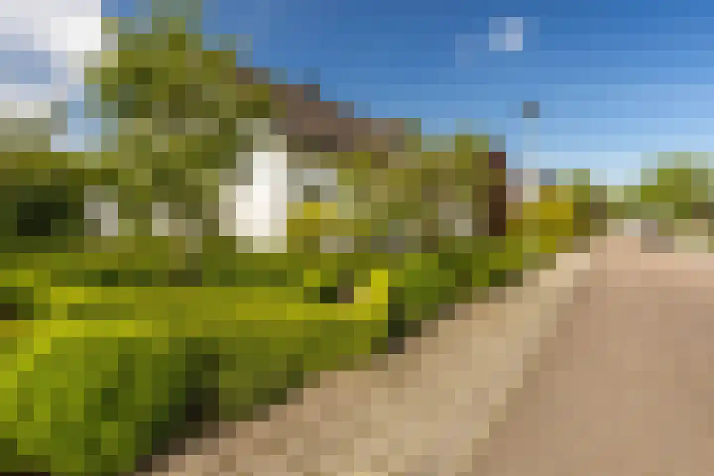 Kritzraedtstraat 22 Sittard thumbnail 9