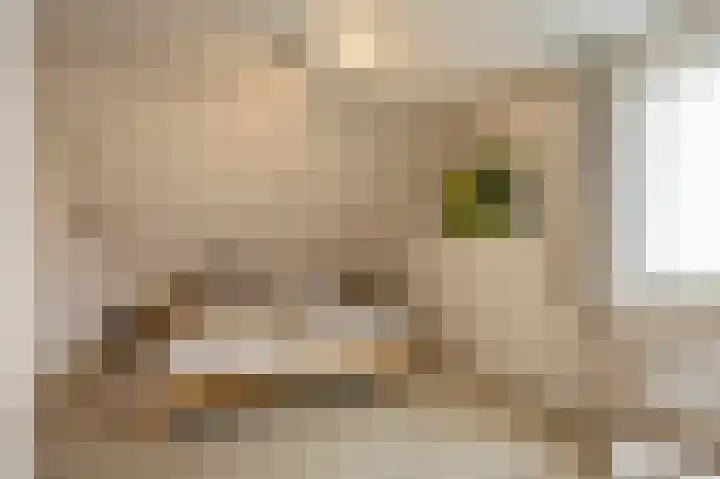 Kritzraedtstraat 24 Sittard thumbnail 25