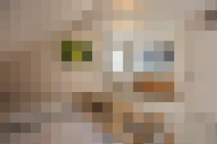 Kritzraedtstraat 24 Sittard thumbnail 26