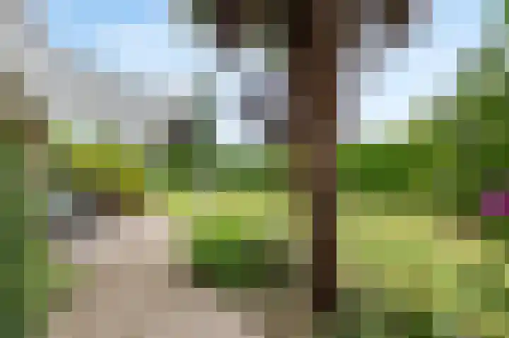 Kritzraedtstraat 24 Sittard thumbnail 41