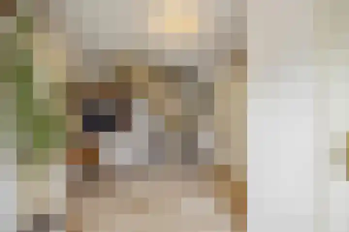 Kritzraedtstraat 24 Sittard thumbnail 5