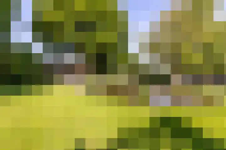 Kritzraedtstraat 8 Sittard thumbnail 25