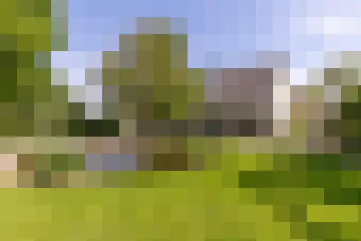 Kritzraedtstraat 8 Sittard thumbnail 29
